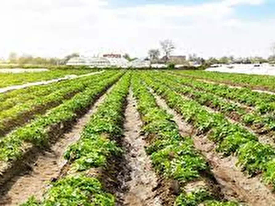 attico in vendita a Ponso