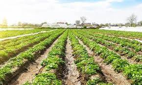 terreno agricolo in vendita a Ponso