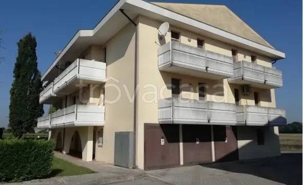 appartamento in vendita a Pontelongo