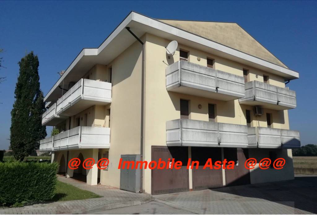 appartamento in vendita a Pontelongo
