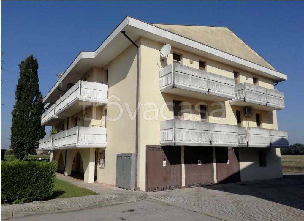 appartamento in vendita a Pontelongo