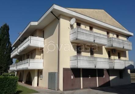 appartamento in vendita a Pontelongo