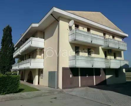 appartamento in vendita a Pontelongo