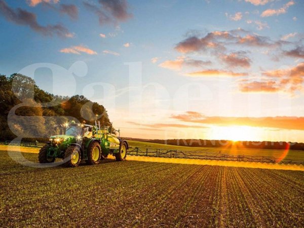 terreno agricolo in vendita a Pontelongo