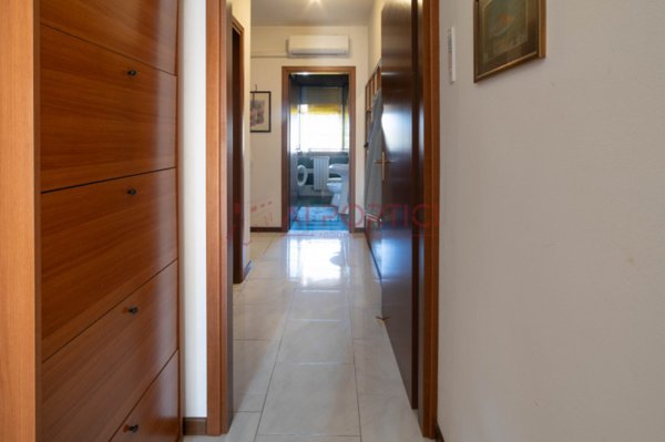 appartamento in vendita a Pontelongo