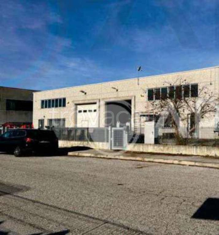 appartamento in vendita a Pontelongo