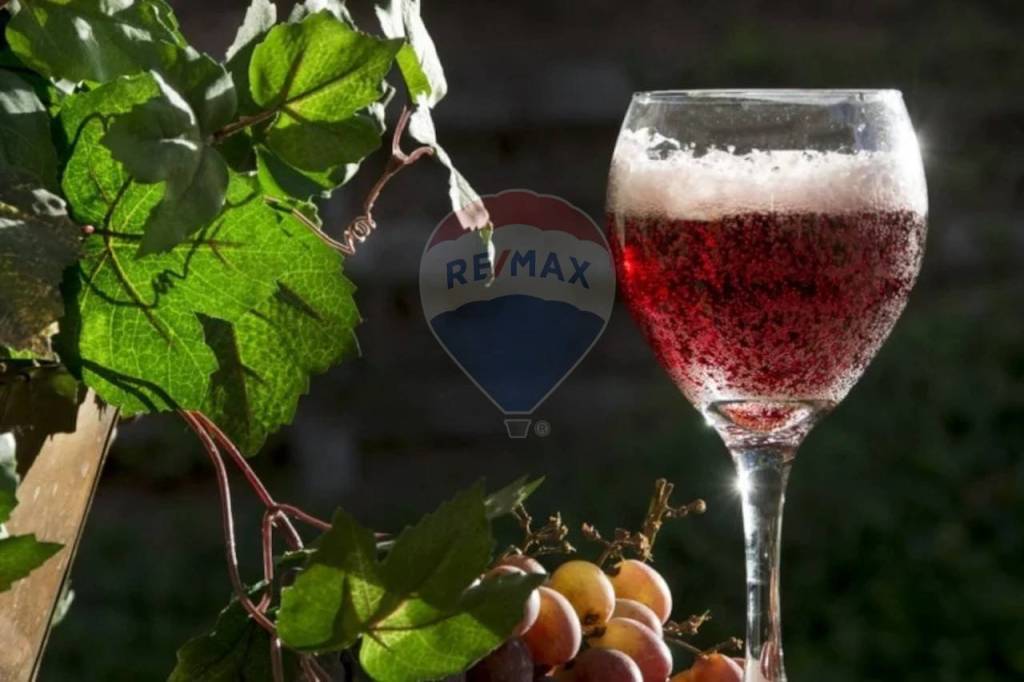 terreno agricolo in vendita a Ponte San Nicolò