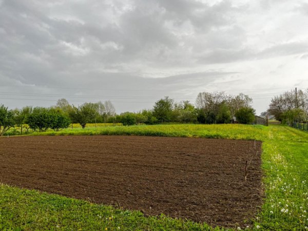 terreno agricolo in vendita a Ponte San Nicolò