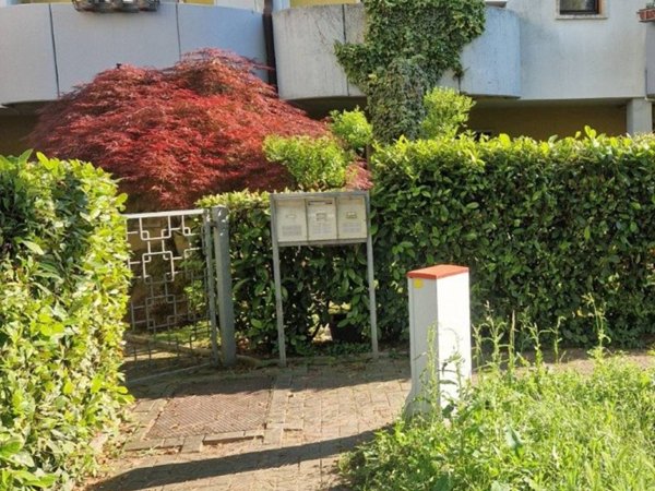 casa indipendente in vendita a Ponte San Nicolò