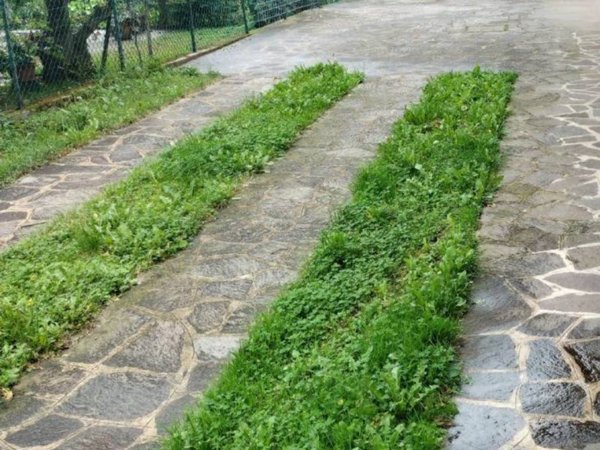 casa indipendente in vendita a Ponte San Nicolò in zona Roncaglia