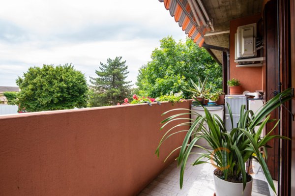 appartamento in vendita a Ponte San Nicolò