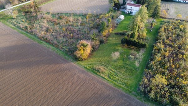 terreno agricolo in vendita a Ponte San Nicolò