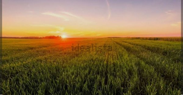 casa indipendente in vendita a Ponte San Nicolò in zona Roncajette