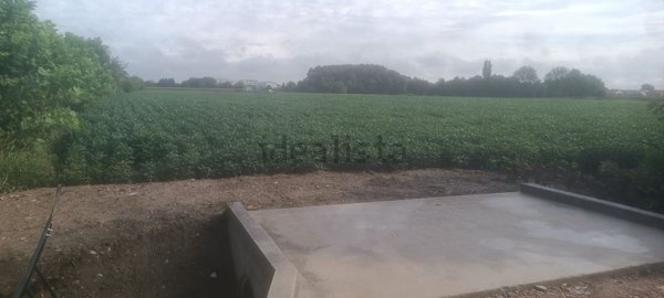 terreno agricolo in vendita a Ponte San Nicolò in zona Roncaglia
