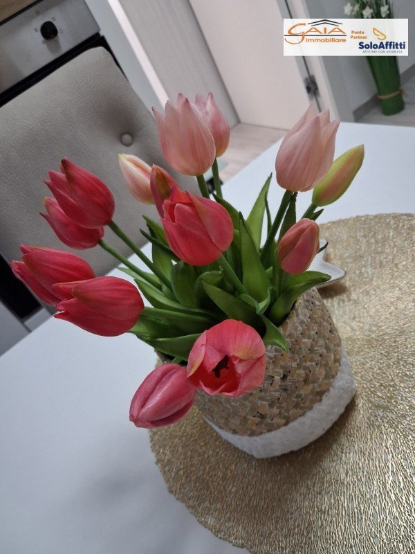 appartamento in vendita a Ponte San Nicolò in zona Roncaglia