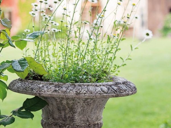 casa indipendente in vendita a Ponte San Nicolò in zona Roncaglia