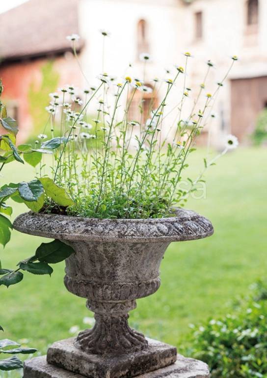casa indipendente in vendita a Ponte San Nicolò in zona Roncaglia