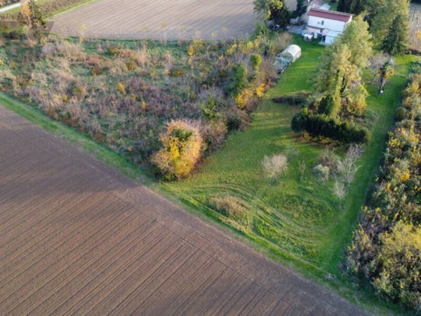 terreno agricolo in vendita a Ponte San Nicolò in zona Roncaglia
