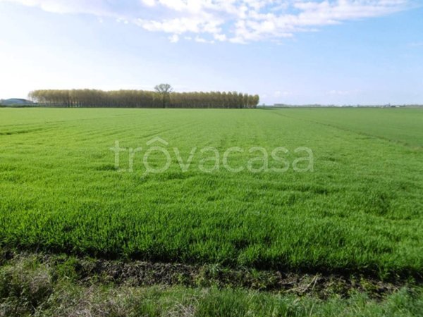terreno agricolo in vendita a Pozzonovo
