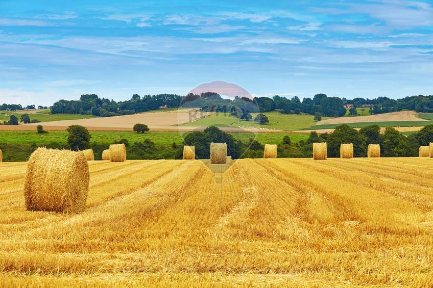 terreno edificabile in vendita a Pozzonovo