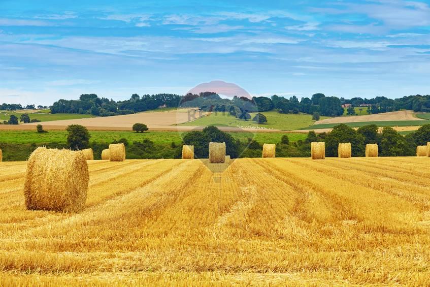 terreno edificabile in vendita a Pozzonovo