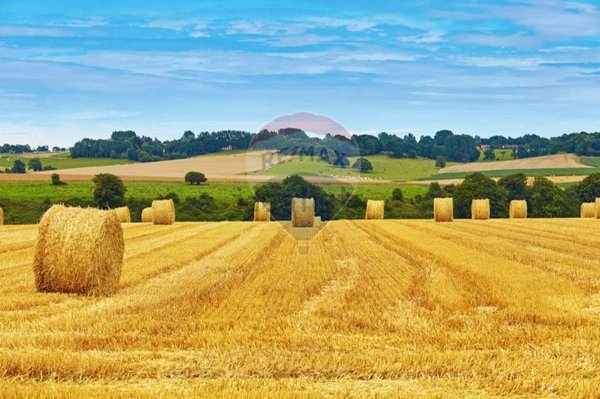 terreno edificabile in vendita a Pozzonovo