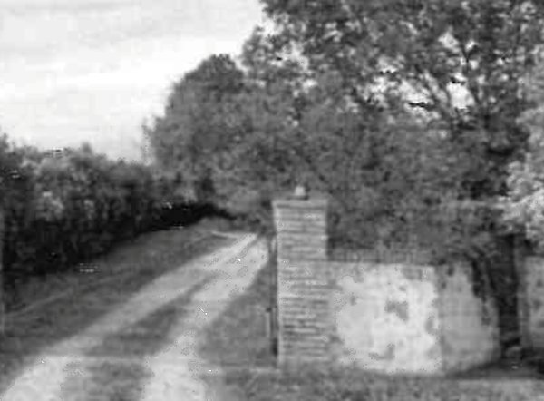 casa indipendente in vendita a Pozzonovo