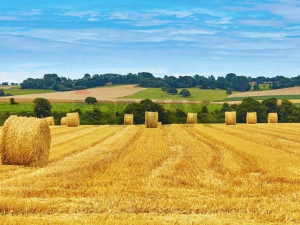 terreno edificabile in vendita a Pozzonovo