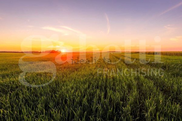 terreno agricolo in vendita a Pozzonovo