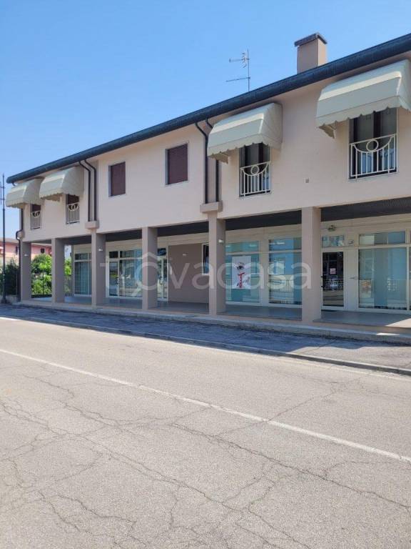 casa indipendente in vendita a Pozzonovo
