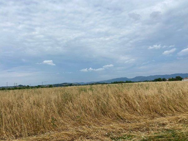 terreno agricolo in vendita a Rovolon in zona Lovolo
