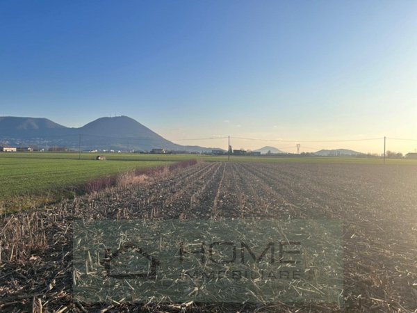 terreno agricolo in vendita a Rovolon in zona Bastia