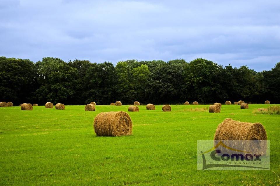 terreno agricolo in vendita a Rovolon