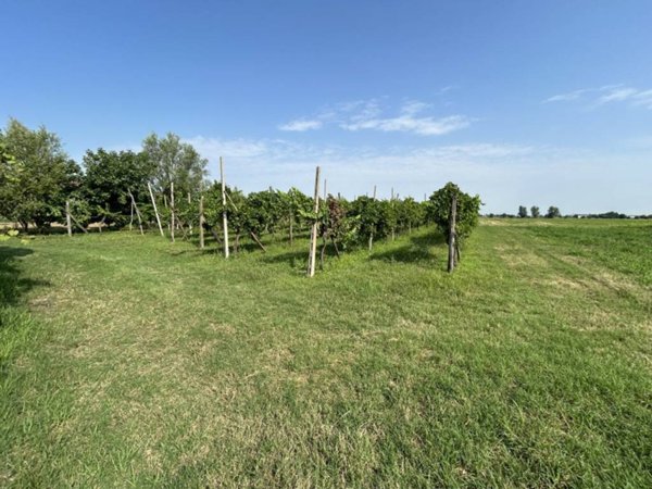 terreno agricolo in vendita a Rovolon in zona Lovolo