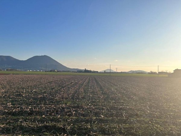 terreno agricolo in vendita a Rovolon
