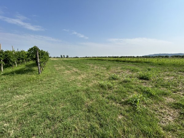 terreno agricolo in vendita a Rovolon in zona Bastia