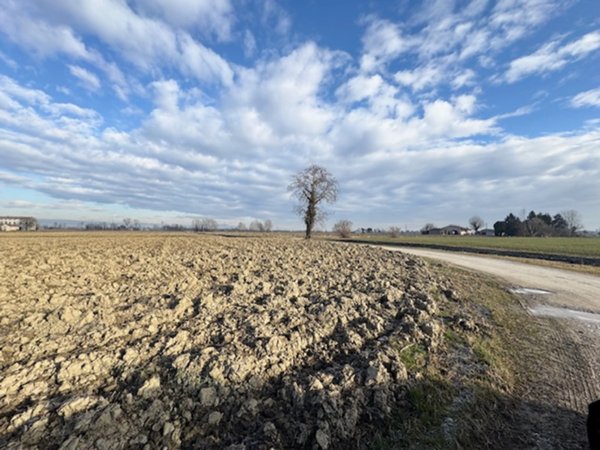 terreno agricolo in vendita a Rovolon in zona Bastia