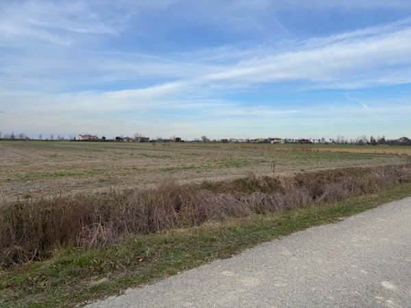 terreno agricolo in vendita a Rovolon in zona Bastia