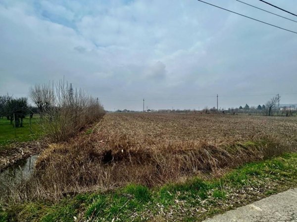 terreno agricolo in vendita a Rovolon in zona Lovolo