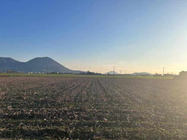 terreno agricolo in vendita a Rovolon