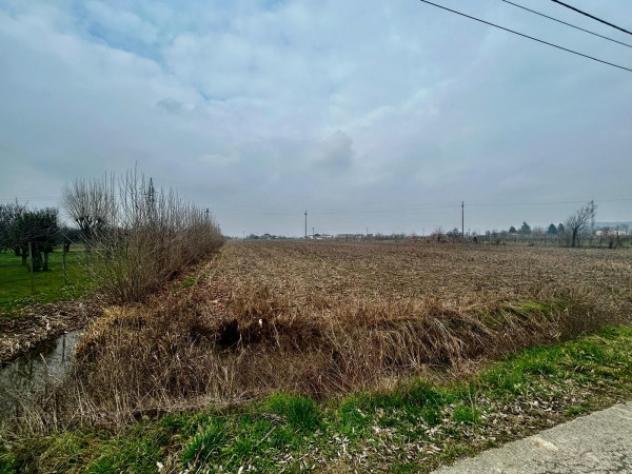 terreno agricolo in vendita a Rovolon in zona Lovolo
