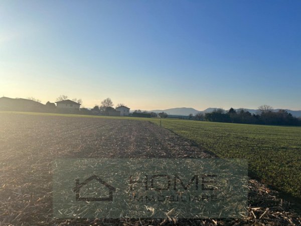 terreno agricolo in vendita a Rovolon in zona Bastia