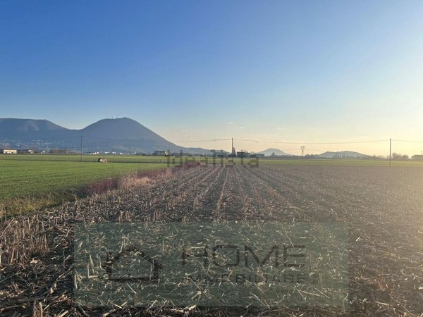 terreno agricolo in vendita a Rovolon in zona Bastia