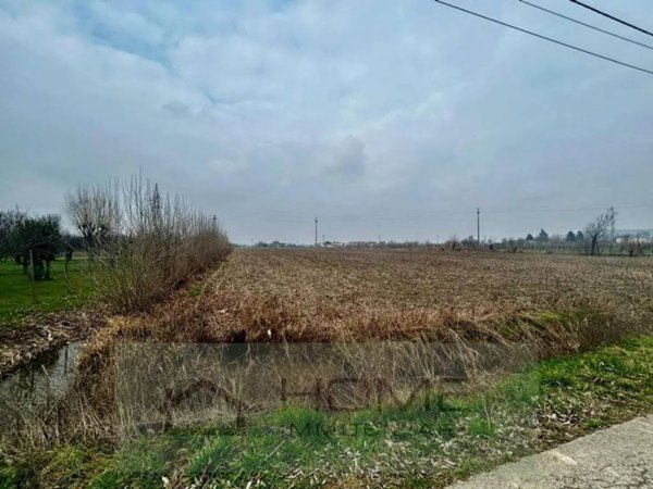 terreno agricolo in vendita a Rovolon in zona Lovolo