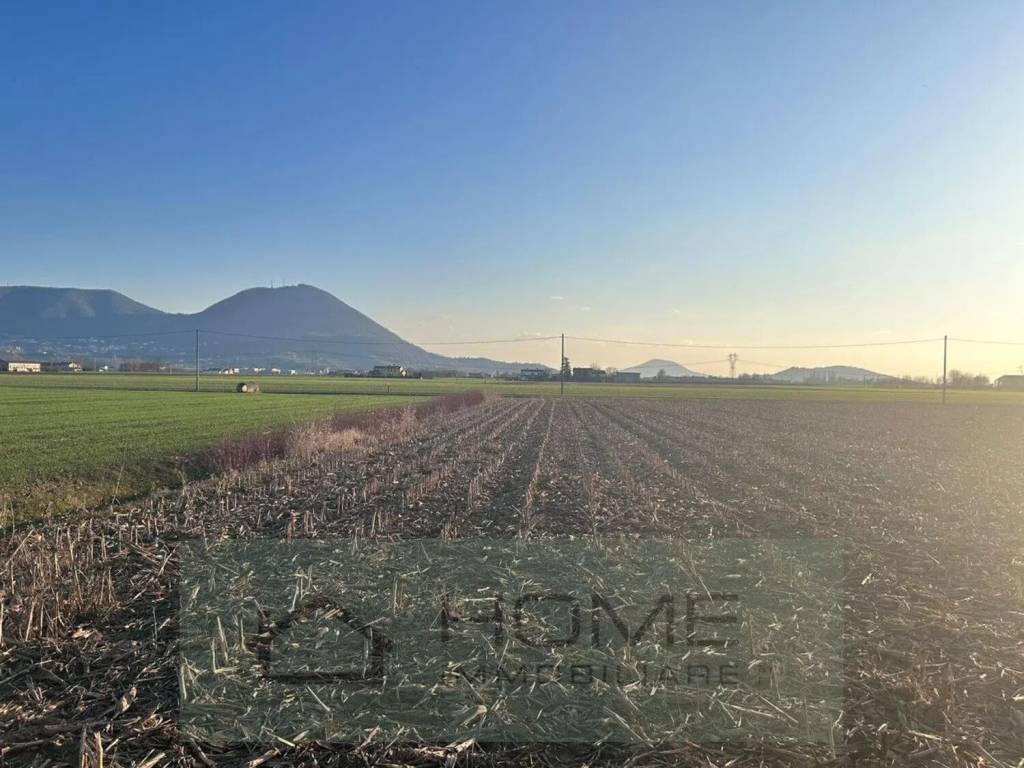 terreno agricolo in vendita a Rovolon in zona Bastia