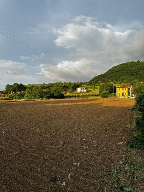 terreno agricolo in vendita a Rovolon in zona Carbonara