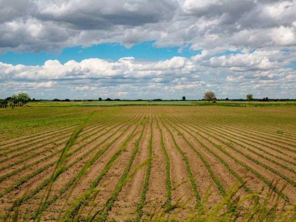 terreno agricolo in vendita a Rovolon in zona Bastia