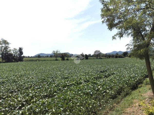 terreno agricolo in vendita a Rovolon in zona Bastia