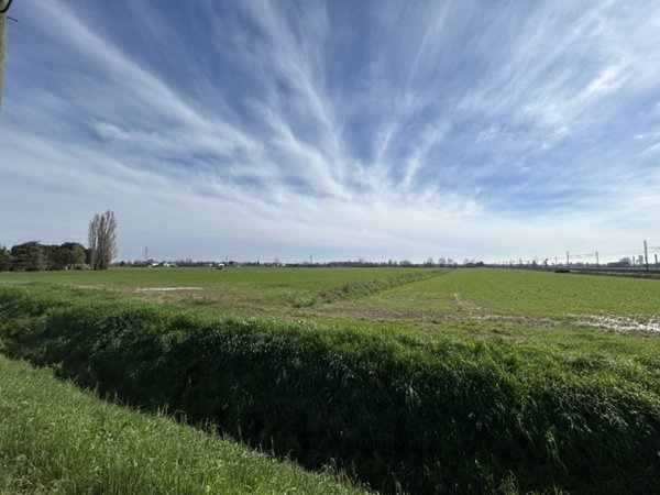 terreno agricolo in vendita a Rubano in zona Bosco