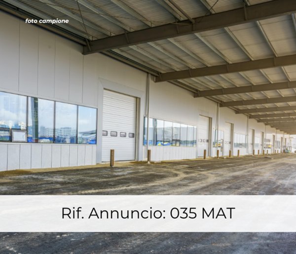 immagine annuncio 0 di 5